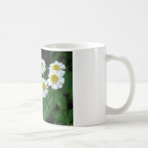 Believe in the magic of life card mugs