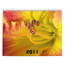 Believe In Tomorrow  2011 Wall Calendars