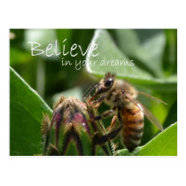 Believe in your Dreams postcards