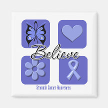 Believe Inspirations Stomach Cancer Magnets