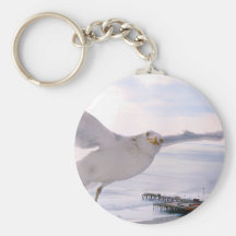 BELIEVE_ KEY CHAINS