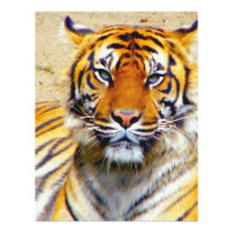 Believe_Poster posters by ELENNE Believe_Poster posters