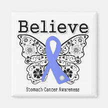 Believe - Stomach Cancer Butterfly Refrigerator Magnets