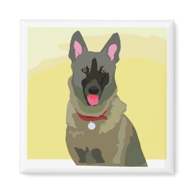 Beligian Malinios Refrigerator Magnet by cutecanines