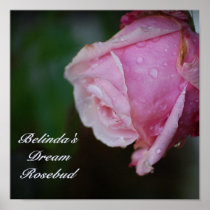 Belinda's Dream Rosebud Print