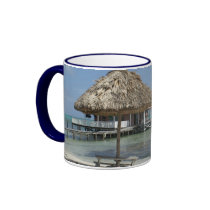 Belize 2006 mugs