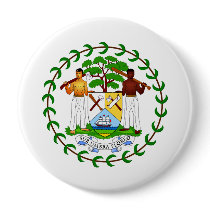 Belize Coat of Arms Pin