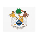 Belize Coat of Arms Postcard