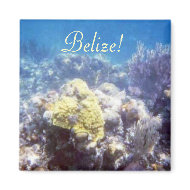 Belize! Coral Reef Magnet magnet