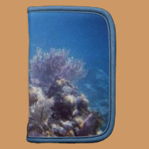 Belize Coral Reef Rickshaw Folio planners