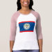 Ladies 3/4 Sleeve Raglan (Fitted)