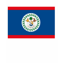 Belize Flag T-shirt