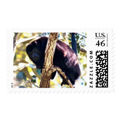 Belize Howler Monkey Stamps by Katbody10