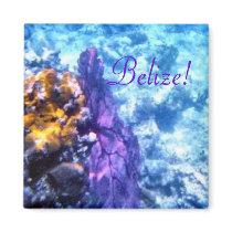 Belize! Purple Sea Fan Magnets