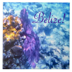 Belize! Purple Sea Fan Tile tile
