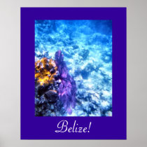 Belize Sea Fan Poster