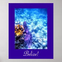 Belize Sea Fan Poster