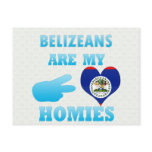 Belizeans are my Homies Postcard