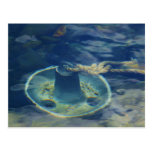 Bell Anchor on River Bottom Postcards