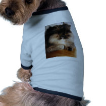 Bell pet clothing by Spearline Bell pet clothing