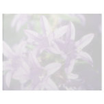 Bell flower flowers customized letterhead