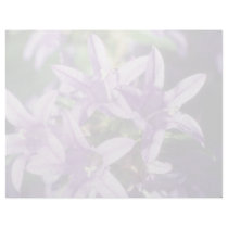 Bell flower flowers customized letterhead