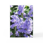 Bell Flower Photo Greeting Card