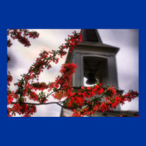bell flowers posters by zack12349 bell flowers posters