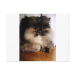 Bell Postcards