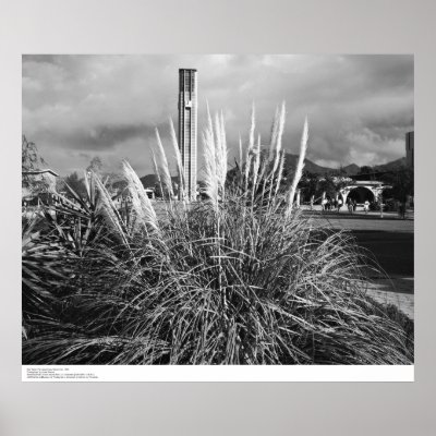 Bell Tower, Pampas Grass, December, 1966 Poster by ucrcmp