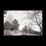Bell Vue Park, Newport, Mon (Dec 1977) canvas prints