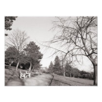 Bell Vue Park, Newport, Mon (Dec 1977) Photographic Print