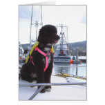 Bella and the Dog Catcher Greeting Cards