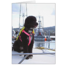 Bella and the Dog Catcher Greeting Cards