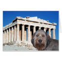 Bella at the Acropolis in Athens Greece cards