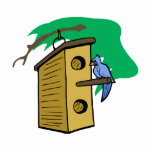 Bella Blue Jay Cut Out