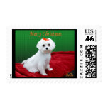 Bella Christmas Stamp