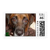 Bella Close postage