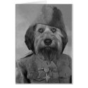 Bella During WWI cards
