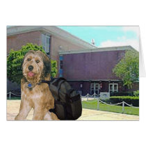 Bella Goes To College cards