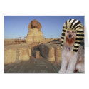 Bella In Egypt cards by malibuitalian Bella In Egypt cards