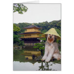 Bella In Japan cards