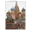 Bella In Moscow cards