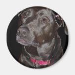 Bella Magnet