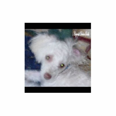Bella Photo Sculptures by DarleneSabellasstore