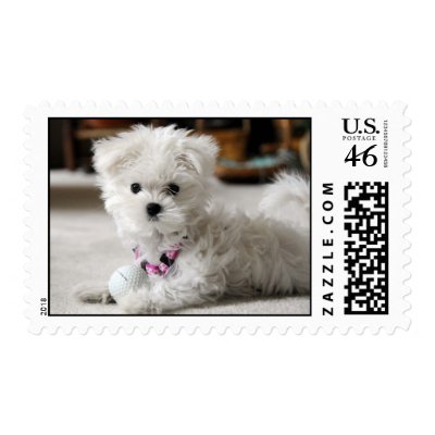 Bella Postage Stamp by campbellart