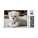 Bella postage