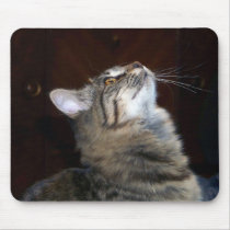bella-profile mousepads