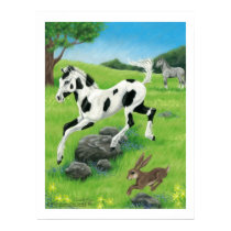 Bella Sara Tumbleweed - print