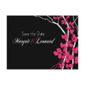 Bella Save the Date (black/hot pink/white) postcards